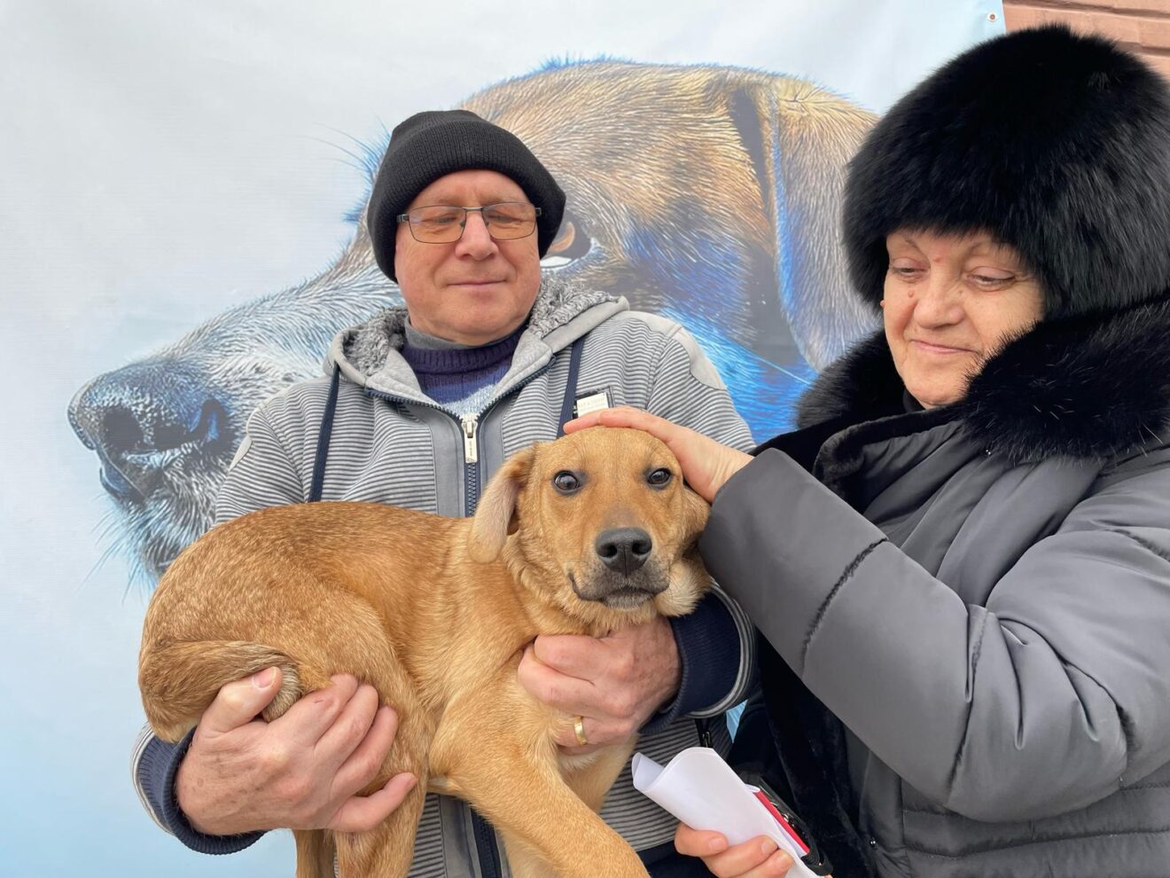 Adopție 1