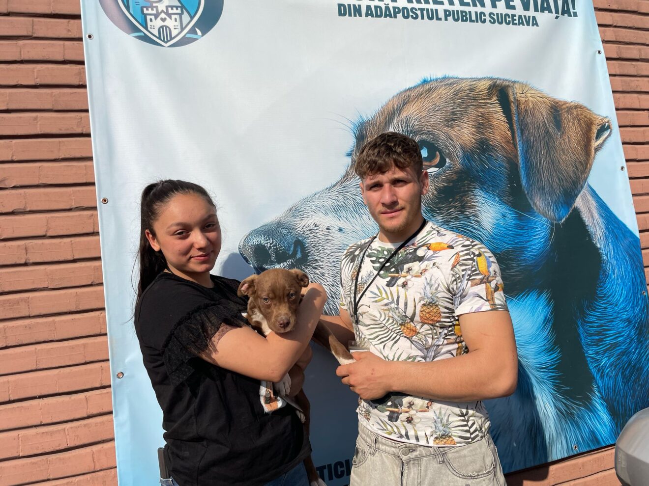 Adopție 2