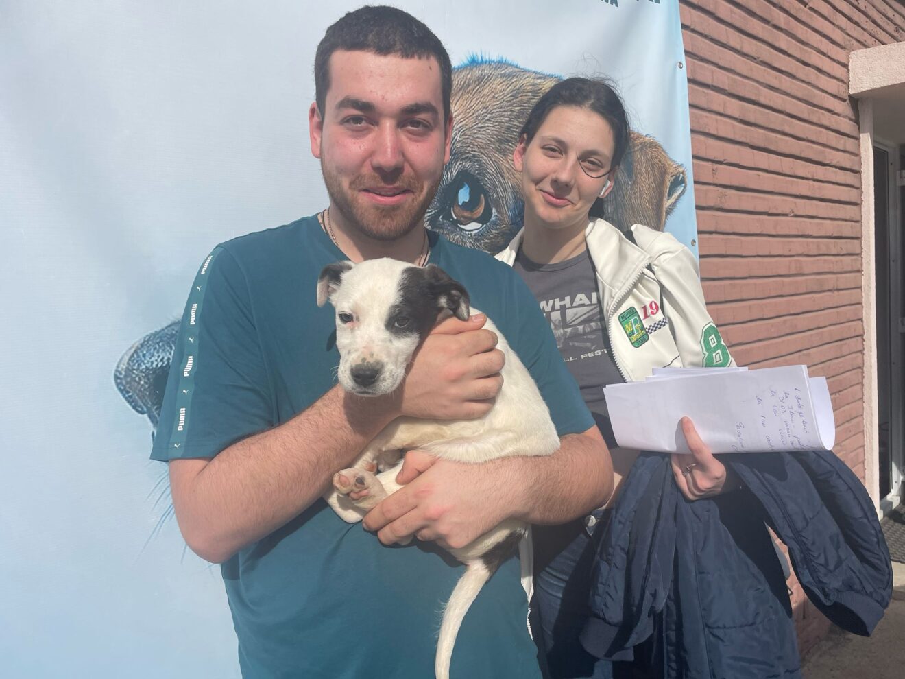 Adopție 3