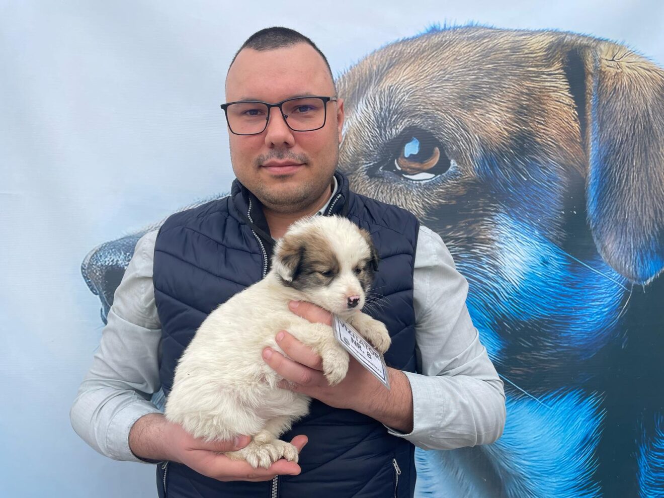 Adopție 4