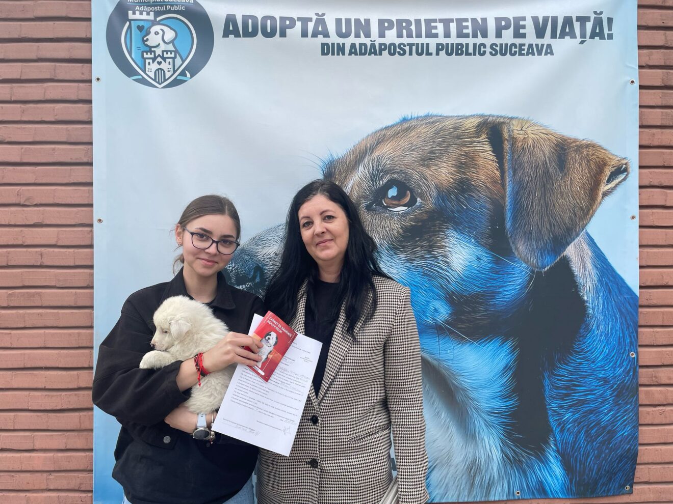 Adopție 5
