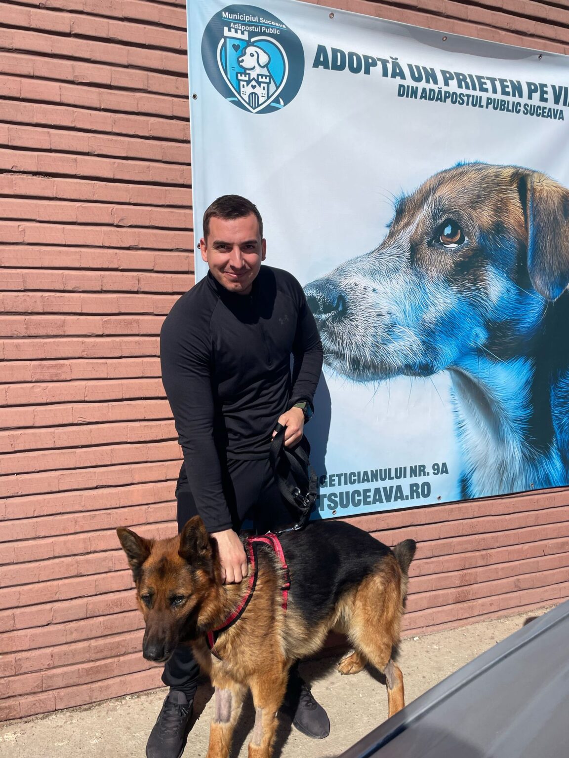 Adopție 7