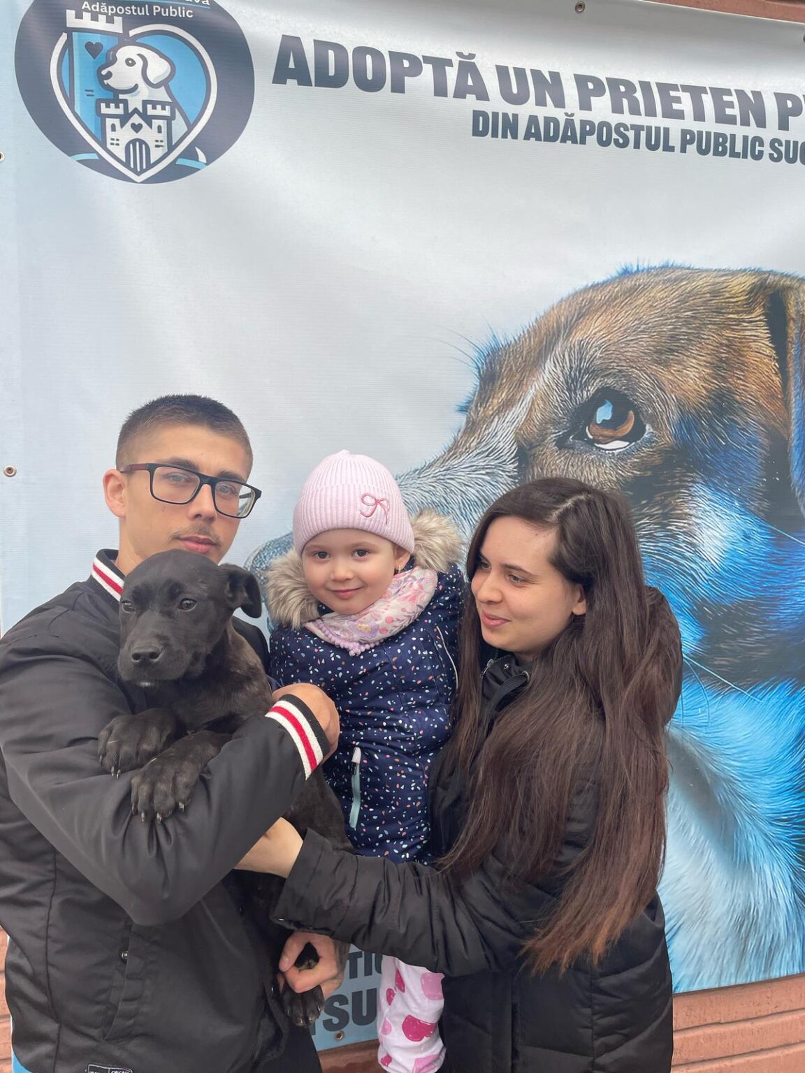 Adopție 8