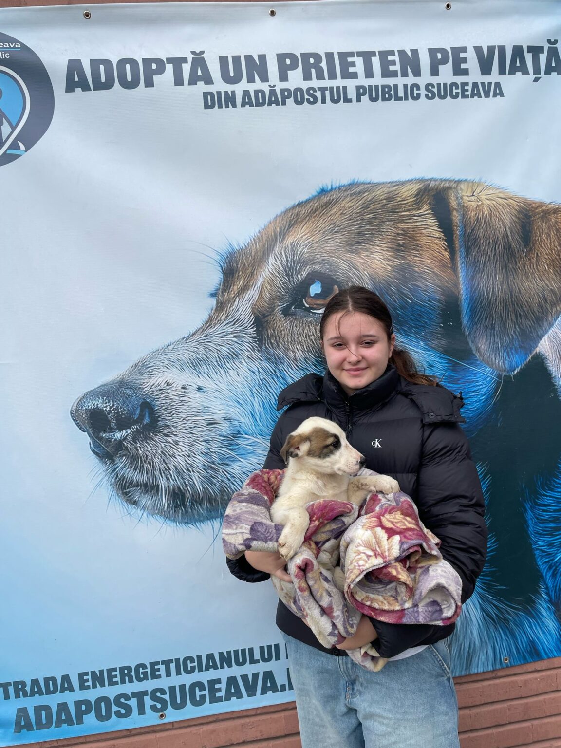 Adopție 9