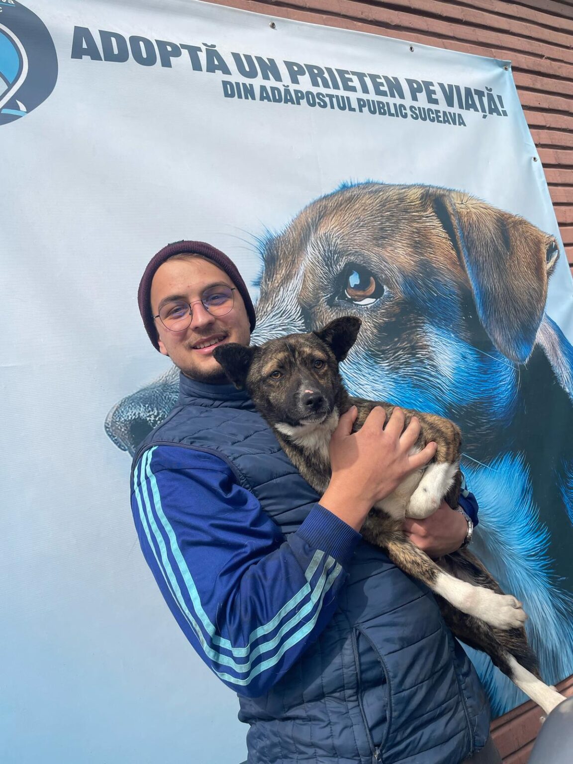 Adopție 10