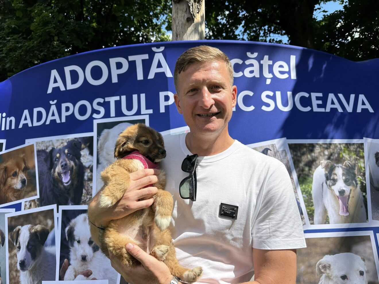 Activitate 8