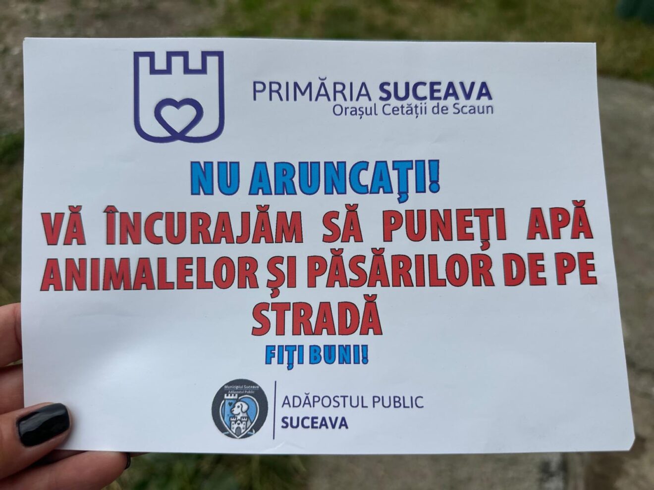 Activitate 12
