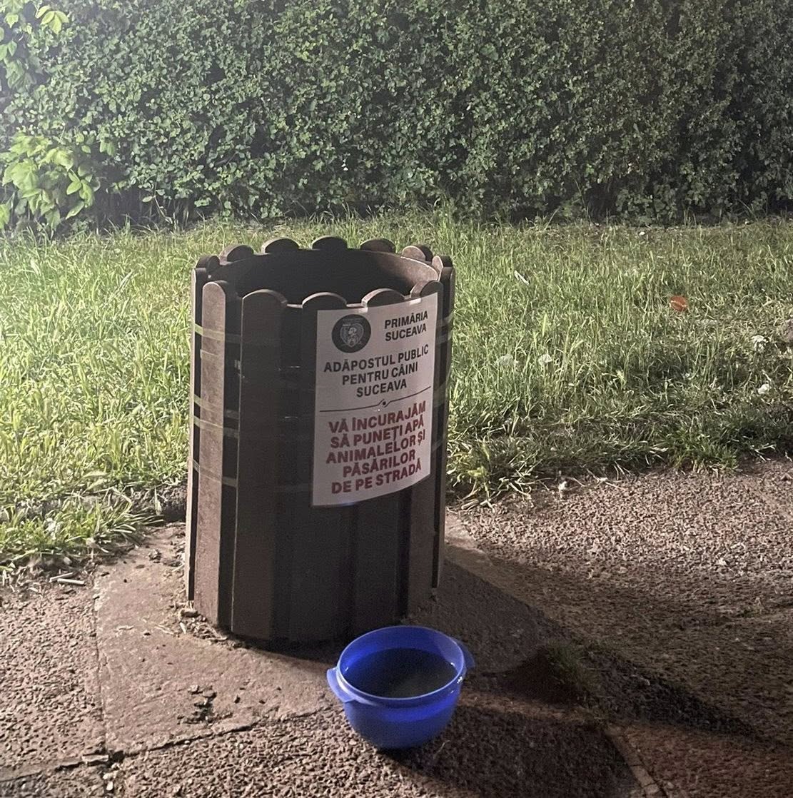 Campanie apa 3