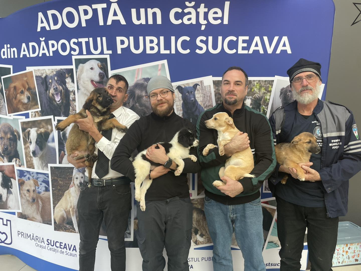 Activitate 5
